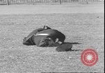 Image of San Francisco police San Francisco California USA, 1935, second 60 stock footage video 65675058984