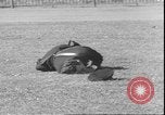 Image of San Francisco police San Francisco California USA, 1935, second 61 stock footage video 65675058984