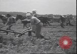 Image charrue en acier trempé Grand Detour Illinois USA, 1937, de la seconde 45 séquences d'archives historiques vidéo 65675058992