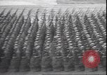 Immagine di Patto di Monaco di Baviera Monaco di Baviera Germania, 1938, secondo 6 filmato di repertorio 65675058998