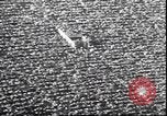 Immagine di Dartmouth Big Green Princeton New Jersey USA, 1938, secondo 36 filmato di repertorio 65675059003
