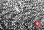 Immagine di Dartmouth Big Green Princeton New Jersey USA, 1938, secondo 37 filmato di repertorio 65675059003