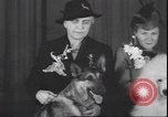 Immagine di Barboncino francese New York United States USA, 1939, secondo 10 filmato di repertorio 65675059008