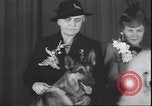 Immagine di Barboncino francese New York United States USA, 1939, secondo 11 filmato di repertorio 65675059008