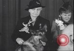 Immagine di Barboncino francese New York United States USA, 1939, secondo 12 filmato di repertorio 65675059008