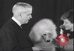 Immagine di Barboncino francese New York United States USA, 1939, secondo 30 filmato di repertorio 65675059008