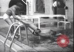 Immagine di Wrestling subacqueo Palm Springs California USA, 1939, secondo 49 filmato di repertorio 65675059010