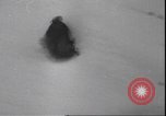Image of bob sled competition Lake Placid New York USA, 1939, second 42 stock footage video 65675059012