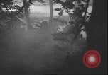 Image of Italy in World War II Europe, 1940, second 30 stock footage video 65675059013
