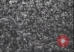 Standbild Football Game Philadelphia Pennsylvania USA, 1940, aus Sekunde 32 historischem Filmmaterial Videoclip 65675059027