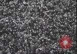 Standbild Football Game Philadelphia Pennsylvania USA, 1940, aus Sekunde 44 historischem Filmmaterial Videoclip 65675059027