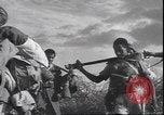 Standbild Italienischen invasion Griechenlands Griechenland, 1940, aus Sekunde 22 historischem Filmmaterial Videoclip 65675059033