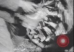 Standbild Italienischen invasion Griechenlands Griechenland, 1940, aus Sekunde 44 historischem Filmmaterial Videoclip 65675059033