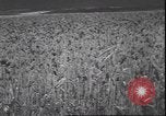 Standbild Weizen ernten Washington State United States USA, 1943, aus Sekunde 8 historischem Filmmaterial Videoclip 65675059036