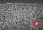 Standbild Weizen ernten Washington State United States USA, 1943, aus Sekunde 9 historischem Filmmaterial Videoclip 65675059036