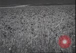 Standbild Weizen ernten Washington State United States USA, 1943, aus Sekunde 10 historischem Filmmaterial Videoclip 65675059036