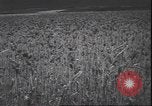 Standbild Weizen ernten Washington State United States USA, 1943, aus Sekunde 11 historischem Filmmaterial Videoclip 65675059036