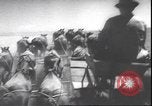 Standbild Weizen ernten Washington State United States USA, 1943, aus Sekunde 34 historischem Filmmaterial Videoclip 65675059036