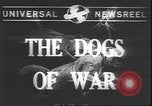 Image Gardes Côtes des États-Unis United States USA, 1943, de la seconde 3 séquences d'archives historiques vidéo 65675059039