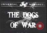 Image Gardes Côtes des États-Unis United States USA, 1943, de la seconde 4 séquences d'archives historiques vidéo 65675059039
