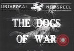 Image Gardes Côtes des États-Unis United States USA, 1943, de la seconde 5 séquences d'archives historiques vidéo 65675059039