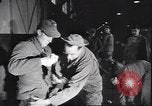 Immagine di Prigionieri di guerra tedeschi New York United States USA, 1945, secondo 21 filmato di repertorio 65675059044