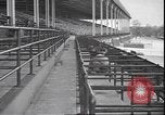 Image of horse racing Rhode Island United States USA, 1945, second 5 stock footage video 65675059050