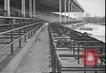 Image of horse racing Rhode Island United States USA, 1945, second 6 stock footage video 65675059050