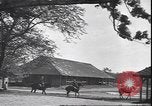 Image of horse racing Rhode Island United States USA, 1945, second 12 stock footage video 65675059050