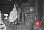 Image of horse racing Rhode Island United States USA, 1945, second 20 stock footage video 65675059050
