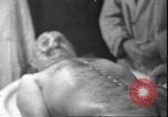 Standbild Leiche von Mussolini Mailand Italien, 1945, aus Sekunde 4 historischem Filmmaterial Videoclip 65675059051