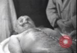Standbild Leiche von Mussolini Mailand Italien, 1945, aus Sekunde 5 historischem Filmmaterial Videoclip 65675059051