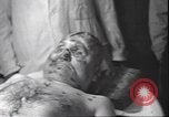Standbild Leiche von Mussolini Mailand Italien, 1945, aus Sekunde 37 historischem Filmmaterial Videoclip 65675059051