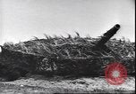 Image of German soldiers European Theater, 1940, second 16 stock footage video 65675059060