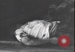 Standbild Leiche von Mussolini Italien, 1945, aus Sekunde 12 historischem Filmmaterial Videoclip 65675059077