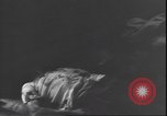 Standbild Leiche von Mussolini Italien, 1945, aus Sekunde 21 historischem Filmmaterial Videoclip 65675059077