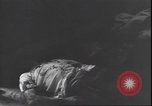Standbild Leiche von Mussolini Italien, 1945, aus Sekunde 24 historischem Filmmaterial Videoclip 65675059077