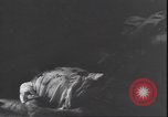 Standbild Leiche von Mussolini Italien, 1945, aus Sekunde 25 historischem Filmmaterial Videoclip 65675059077