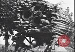 Standbild 1 Armored Assault Ingenieur Unternehmen Bresica Italien, 1945, aus Sekunde 16 historischem Filmmaterial Videoclip 65675059078