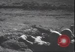 Immagine di Il rumeno e militare tedesco manovre comune seconda guerra mondiale La Romania, 1944, secondo 29 filmato di repertorio 65675059090