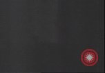 Immagine di Nazi riunione del Congresso Tirana Albania, 1944, secondo 38 filmato di repertorio 65675059092