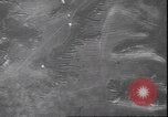 Immagine di Il tedesco ha 111 bombardieri attaccando obiettivi sovietica Il Gomel Russia Unione Sovietica, 1944, secondo 28 filmato di repertorio 65675059094