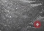 Immagine di Il tedesco ha 111 bombardieri attaccando obiettivi sovietica Il Gomel Russia Unione Sovietica, 1944, secondo 34 filmato di repertorio 65675059094