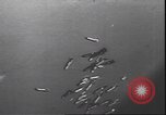 Immagine di Il tedesco ha 111 bombardieri attaccando obiettivi sovietica Il Gomel Russia Unione Sovietica, 1944, secondo 59 filmato di repertorio 65675059094