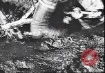 Immagine di I soldati tedeschi in condizioni fangose Unione Sovietica, 1944, secondo 12 filmato di repertorio 65675059095