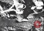 Immagine di I soldati tedeschi in condizioni fangose Unione Sovietica, 1944, secondo 14 filmato di repertorio 65675059095
