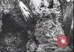 Immagine di I soldati tedeschi in condizioni fangose Unione Sovietica, 1944, secondo 29 filmato di repertorio 65675059095
