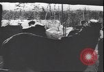 Immagine di I soldati tedeschi sugli sci nella seconda guerra mondiale Unione Sovietica, 1943, secondo 11 filmato di repertorio 65675059096