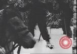 Immagine di I soldati tedeschi sugli sci nella seconda guerra mondiale Unione Sovietica, 1943, secondo 13 filmato di repertorio 65675059096