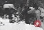 Immagine di I soldati tedeschi sugli sci nella seconda guerra mondiale Unione Sovietica, 1943, secondo 15 filmato di repertorio 65675059096
